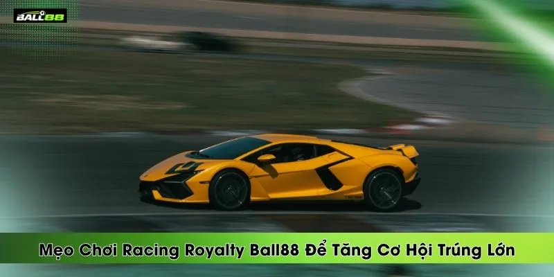 meo-choi-racing-royalty-ball88-de-tang-co-hoi-trung-lon